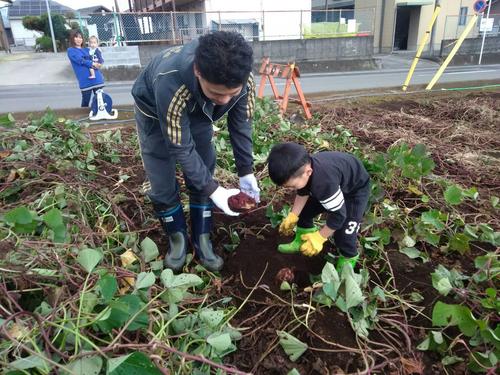 IMG_4343 (003) いもほり.JPG