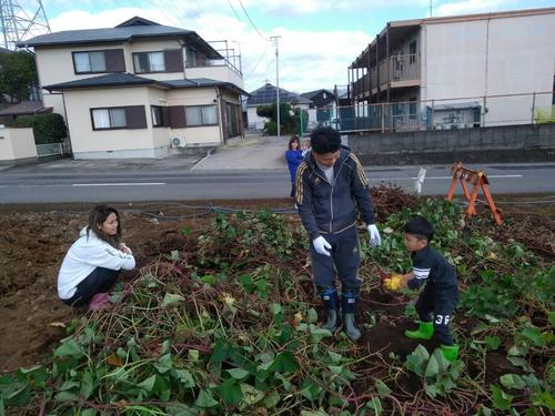 IMG_4341 (003) 芋掘り.JPG